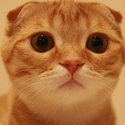 彗星加速器安卓